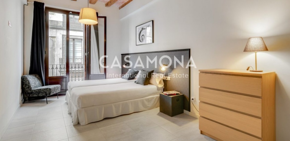 Modern 1 Bedroom Apartment with Balconies and Terrace in a Renovated Building Modern 1 Bedroom Apartment with Balconies and Terrace in a Renovated Building