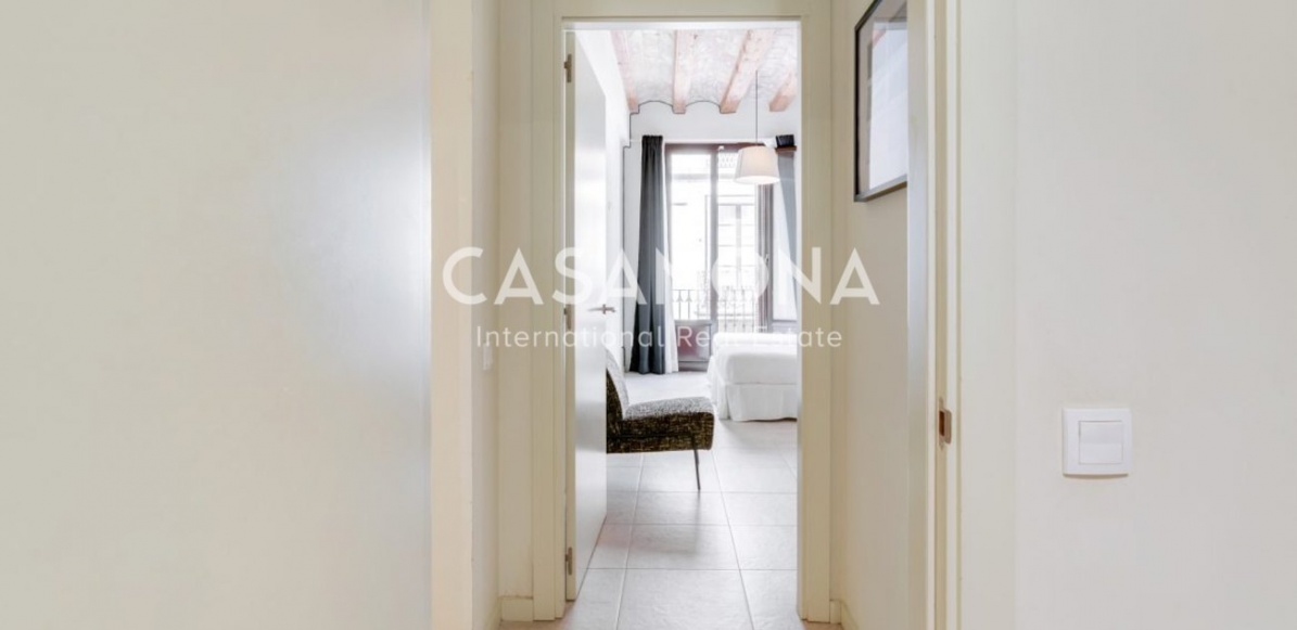 Appartement moderne de 1 chambre avec balcons et terrasse dans un immeuble rénové Appartement moderne de 1 chambre avec balcons et terrasse dans un immeuble rénové