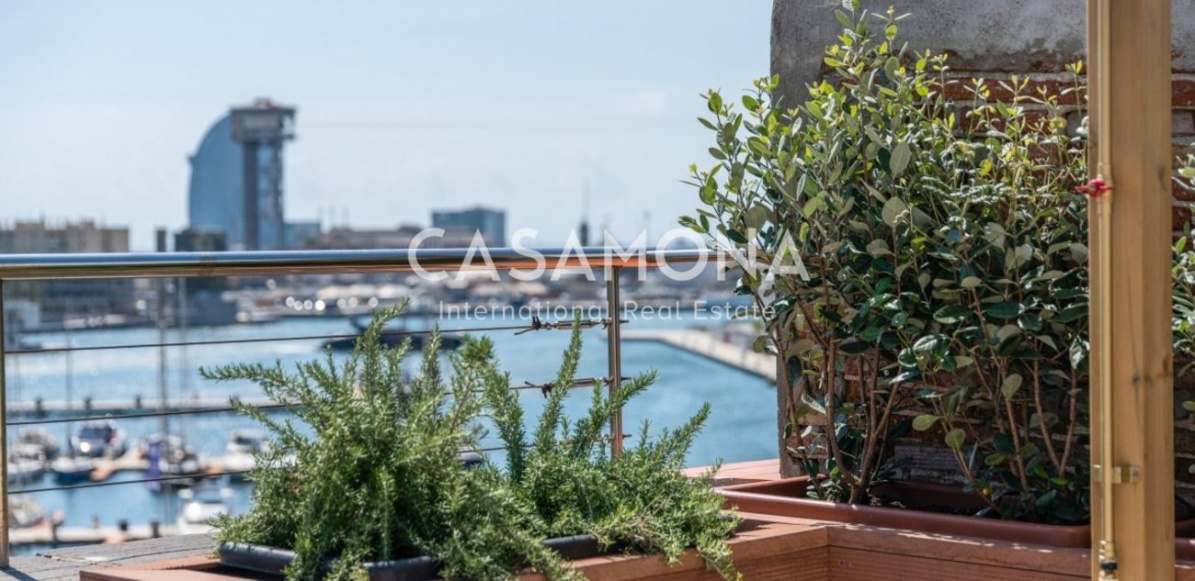 Appartement moderne de 1 chambre avec balcons et terrasse dans un immeuble rénové Appartement moderne de 1 chambre avec balcons et terrasse dans un immeuble rénové