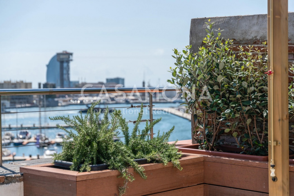 Luxueux 1 chambre avec vue incroyable sur Barceloneta Luxueux 1 chambre avec vue incroyable sur Barceloneta