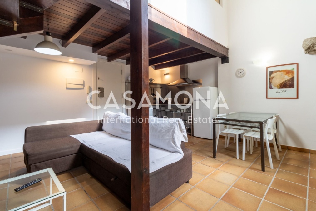 Appartement duplex lumineux de 2 chambres avec une immense terrasse privée
