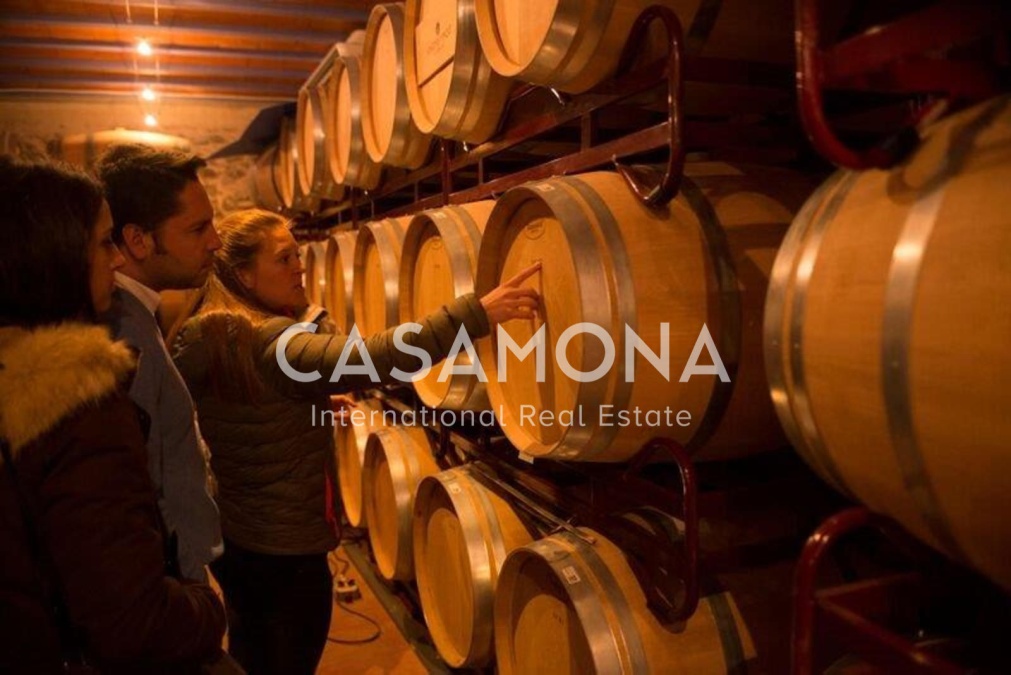 Hôtel boutique avec 10 chambres et 12 salles de bains dans la célèbre région viticole du Priorat, situé près de Tarragone
