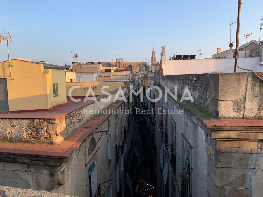 Unique Historic Apartment in El Born with 2 Large Terraces