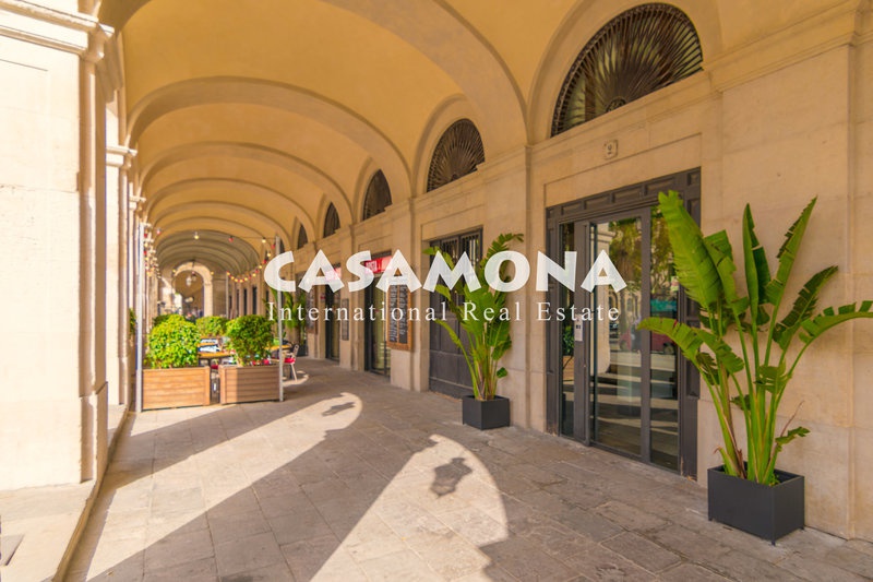 Stylish Apartment in Barceloneta with Views of Port Vell (PALAU)
