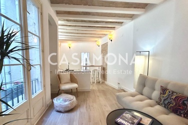 Renovated 3-Double Bedroom Apartment in the Gothic Quarter – Ideal for Investing or Living