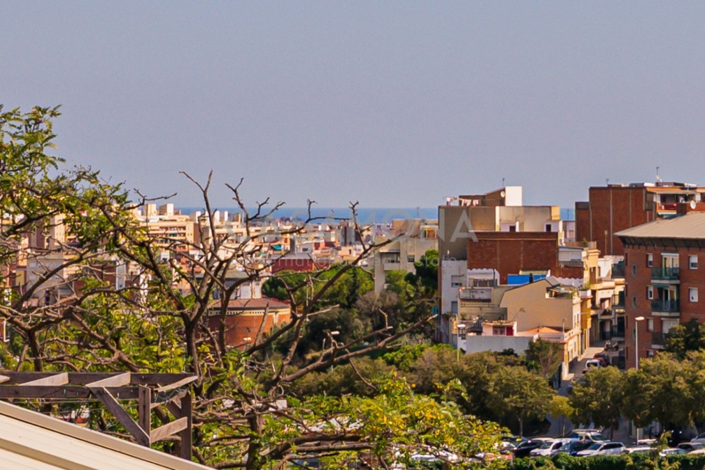 Exceptional Fully Renovated Villa With A Terrace In Horta