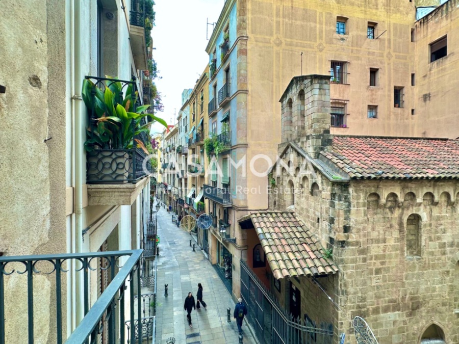 Pis a El Born amb dues habitacions i balcons assolellats