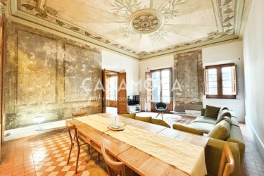 Historical 3-Bedroom Palace Apartment in El Born