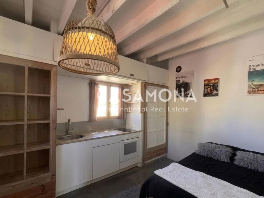FOR INVESTORS (No Rental Price Cap) Dual Studio Penthouse with Sea-View Community Terrace in Barceloneta