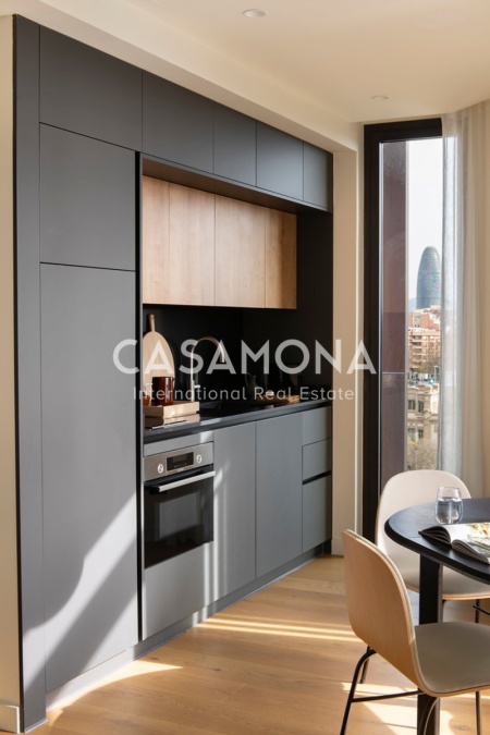 Apartament modern de 3 dormitoris amb terrassa privada i vistes a l'Arc de Triomf a Barcelona Apartament modern de 3 dormitoris amb terrassa privada i vistes a l'Arc de Triomf a Barcelona